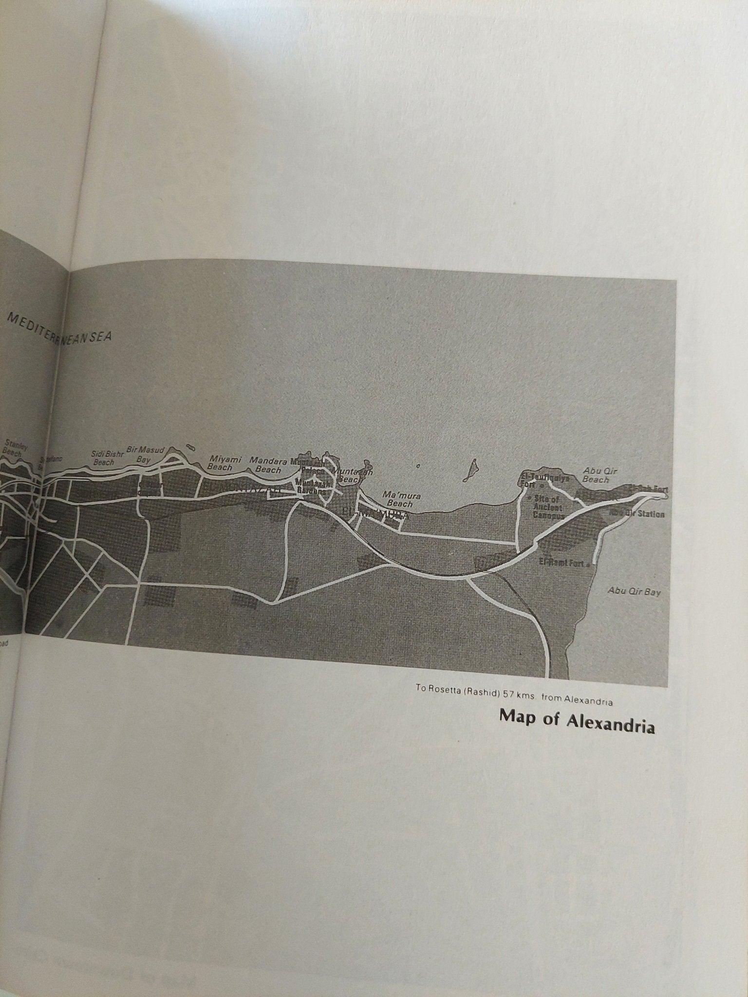 Too rich .. the high life and tragic death of king Farouk / William Stadiem - ملحق بالصور - متجر كتب مصر - متجر كتب مصر