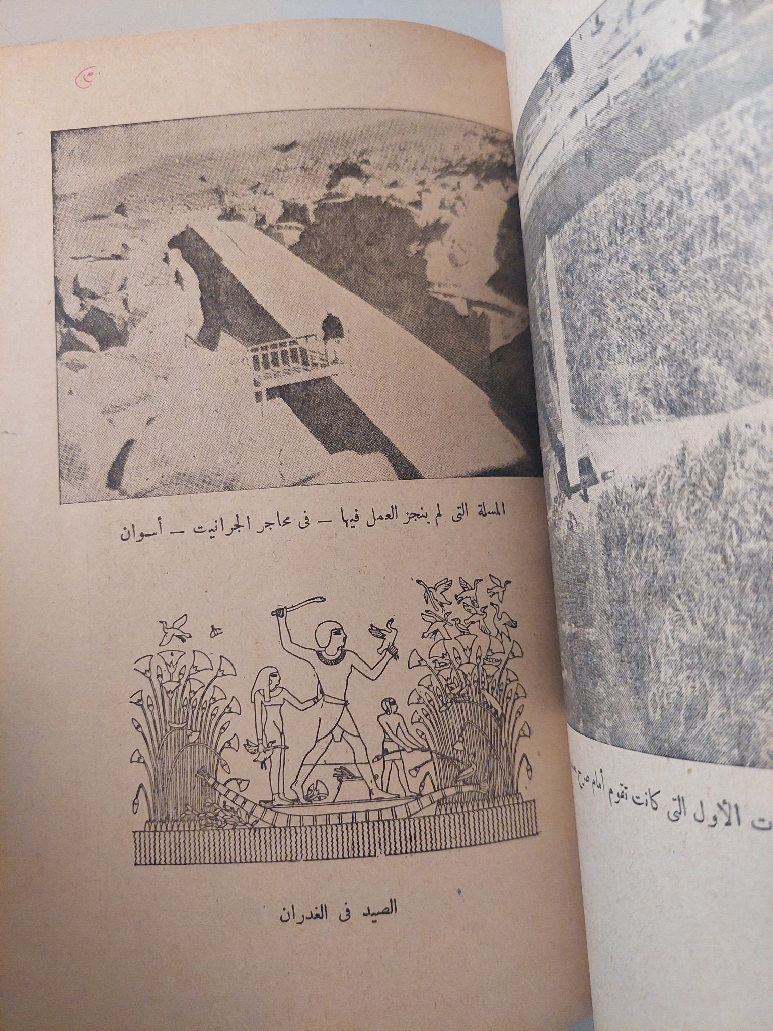 تطور الفكر والدين فى مصر القديمة / جيمس هنرى برستيد - هارد كفر ملحق بالصور - متجر كتب مصر - متجر كتب مصر