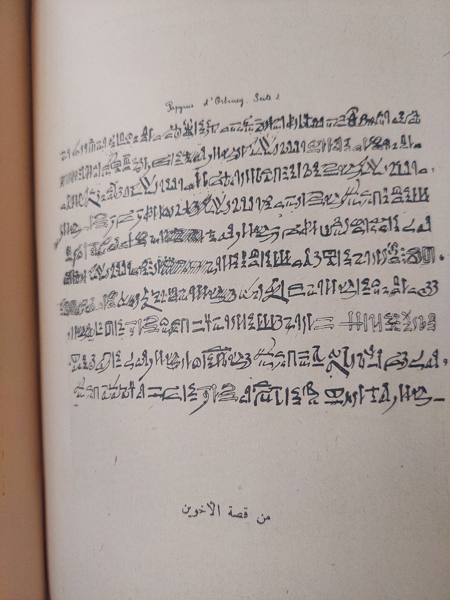 تطور الفكر والدين فى مصر القديمة / جيمس هنرى برستيد - ملحق بالصور - متجر كتب مصر - متجر كتب مصر