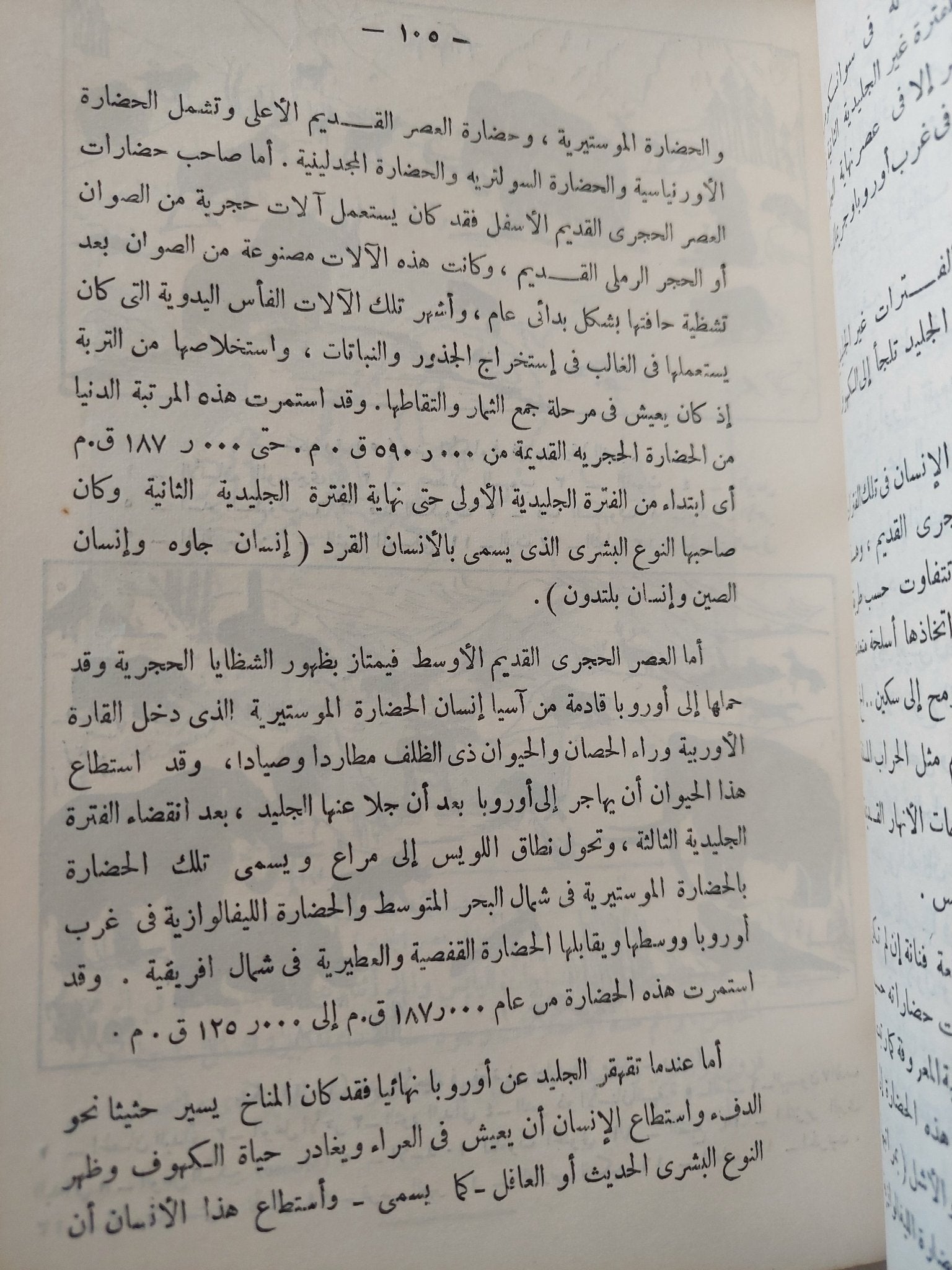 تطور الجنس البشرى / محمد السيد غلاب - هارد كفر ١٩٥٧ - متجر كتب مصر - المكتبة الفلسفية