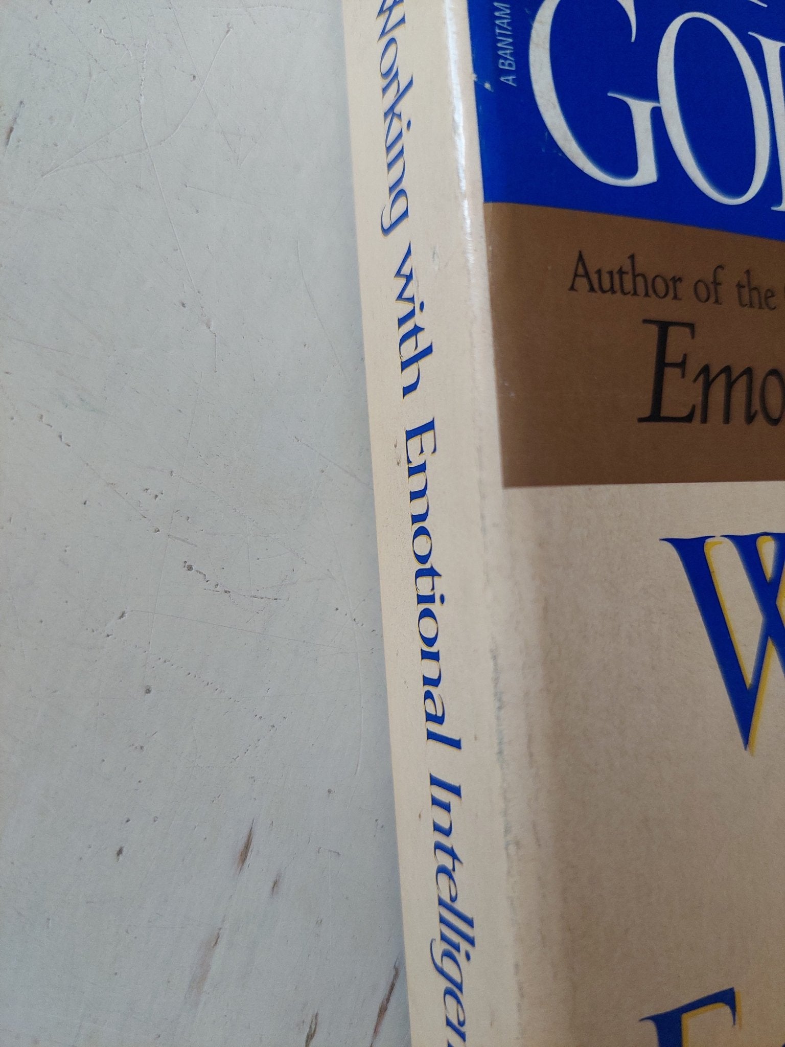 Working with emotional intelligence / Daniel Goleman - متجر كتب مصر - متجر كتب مصر