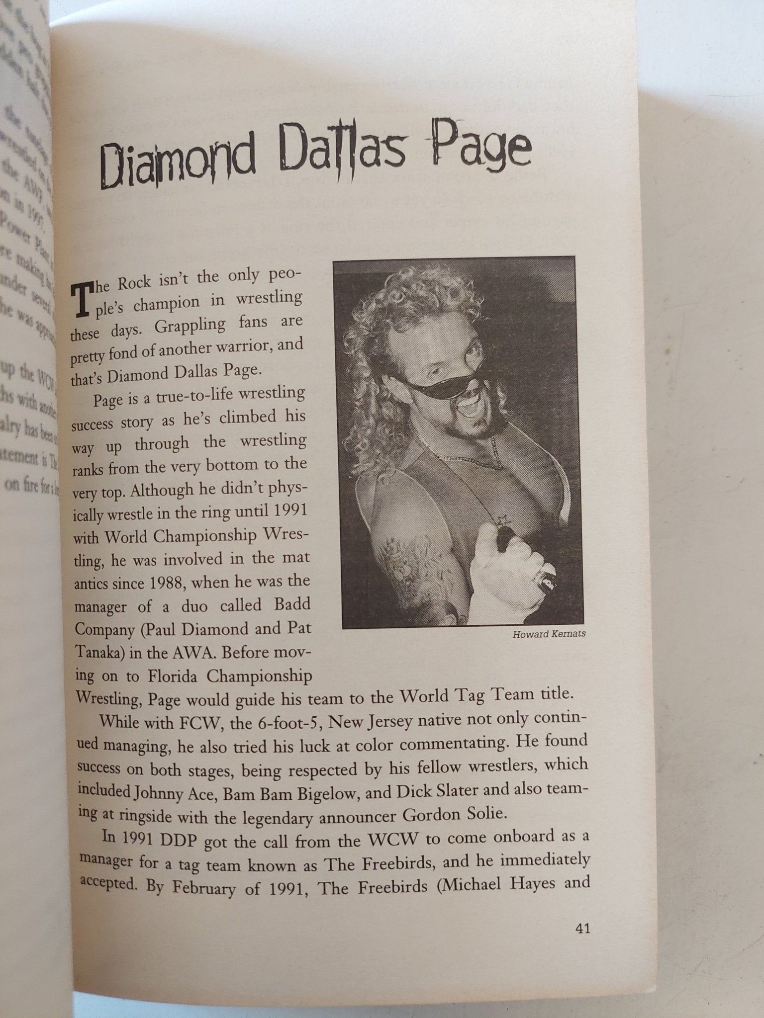 Wrestling's Heroes and Villains / Robert Picarello - ملحق بالصور - متجر كتب مصر - متجر كتب مصر