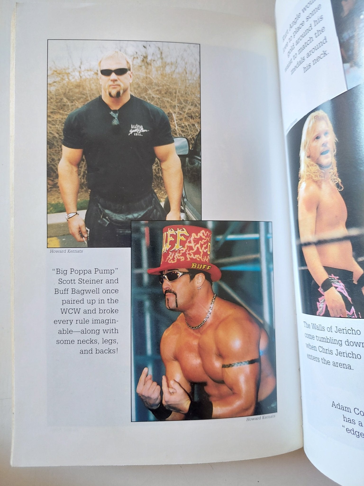 Wrestling's Heroes and Villains / Robert Picarello - ملحق بالصور - متجر كتب مصر - متجر كتب مصر