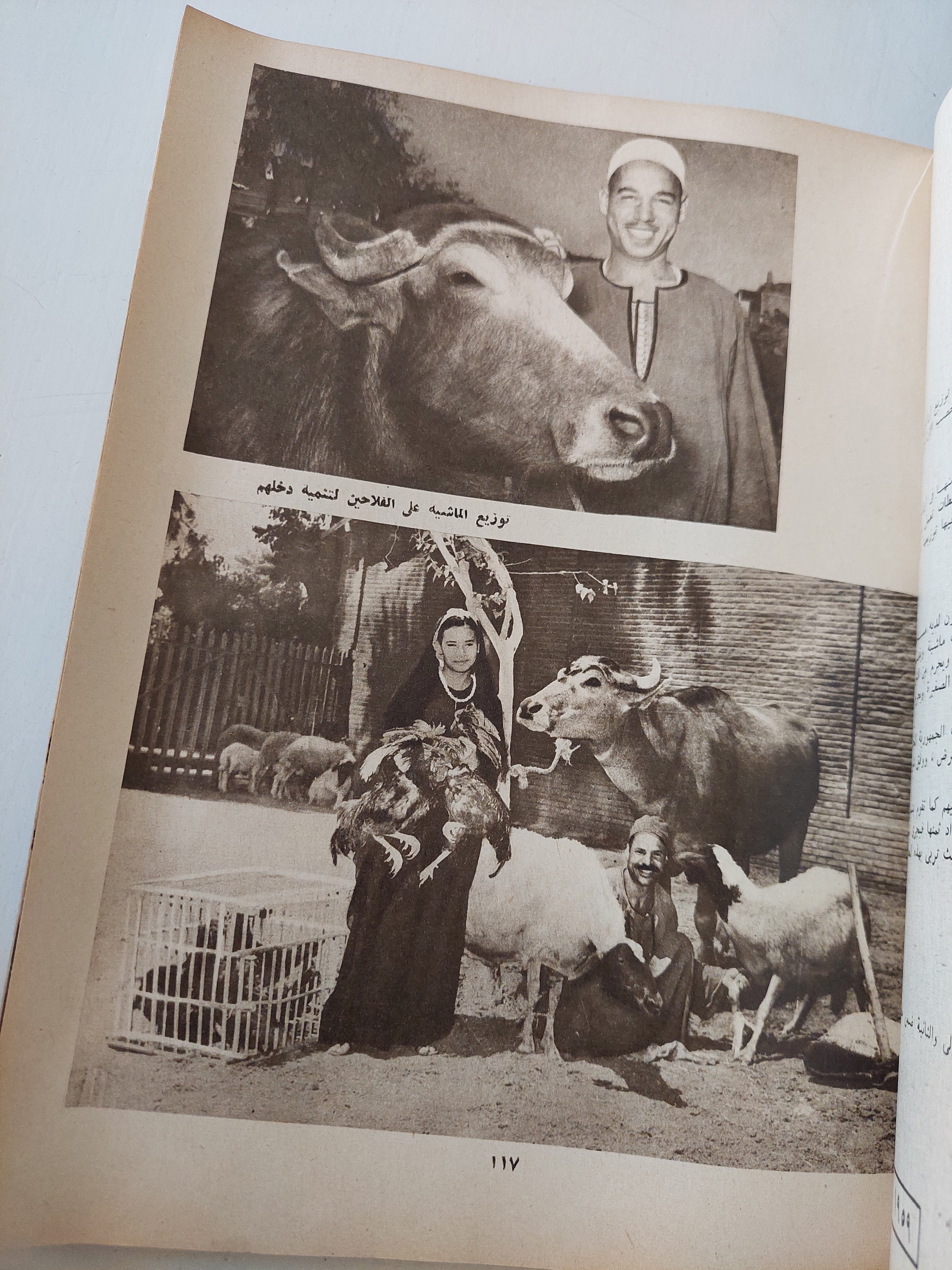 يوميات الثورة 1952 - 1962 / فتحى فهمى - قطع كبير ملحق بالصور - متجر كتب مصر - متجر كتب مصر