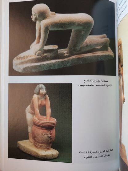 دور المرأة في المجتمع المصري القديم كتاب المكتبة الفلسفية 